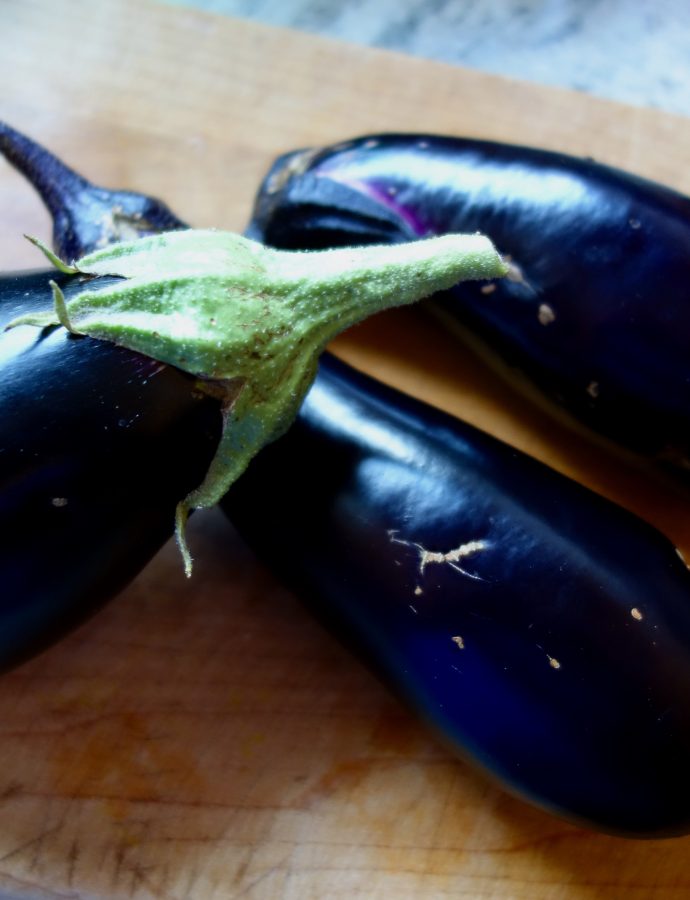 Eggplant